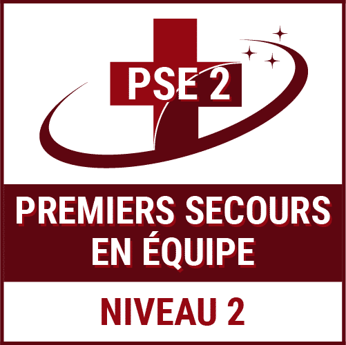 logo-pse2-formations-continues-secourisme
